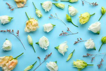Composition with beautiful eustoma and dried flowers on color background