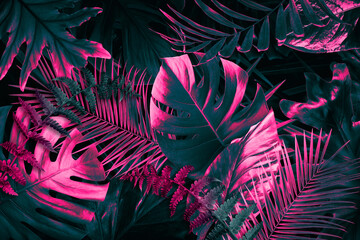 Tropical leaves in neon colors on black background