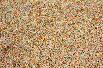 Heap of organic natural sesame seeds