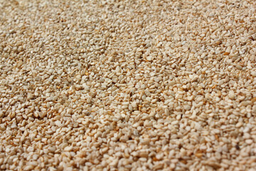 Heap of organic natural sesame seeds