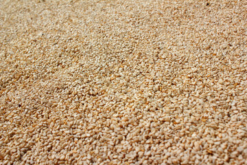 Heap of organic natural sesame seeds