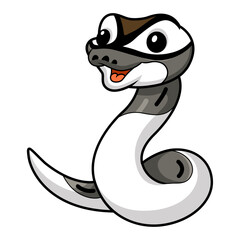 Fototapeta premium Cute axanthic pied ball python cartoon