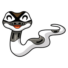 Cute axanthic pied ball python cartoon
