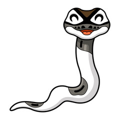 Cute axanthic pied ball python cartoon