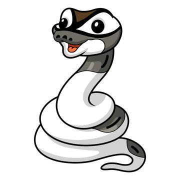 Cute axanthic pied ball python cartoon