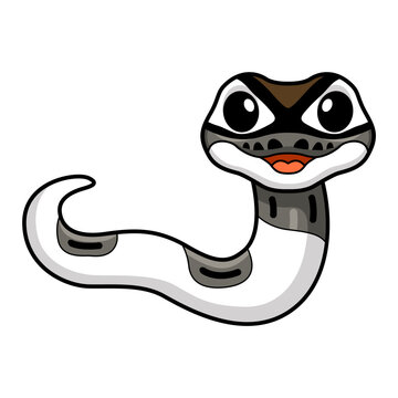 Cute axanthic pied ball python cartoon