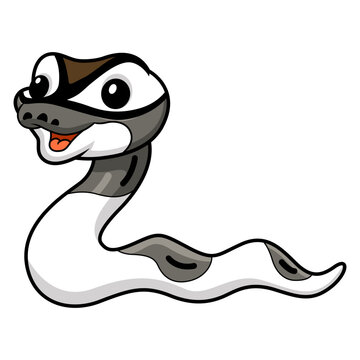 Cute axanthic pied ball python cartoon