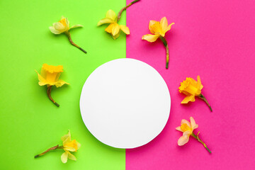 Beautiful narcissus and round blank card on color background