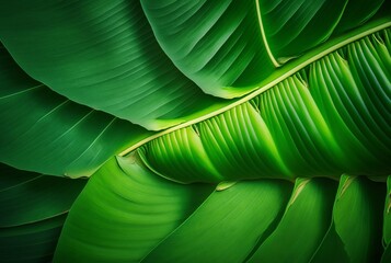 Fototapeta na wymiar banana leaf texture abstract background. generative AI