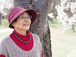 桜を花見に来た笑顔の高齢日本人女性