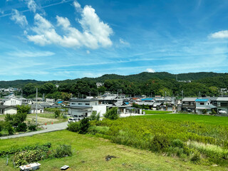 飛行機雲のある夏の田舎の田んぼ