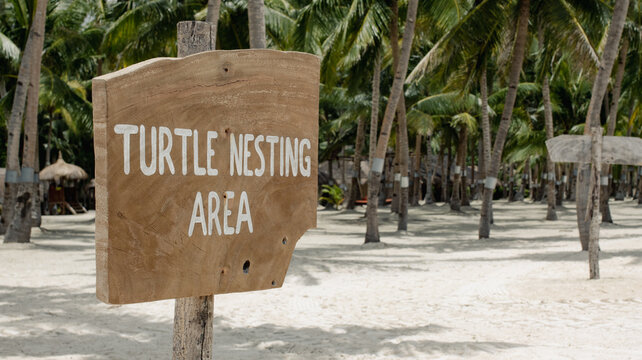 Informational Wooden Sign On The Beach With The Text - Turtle Nesting Place