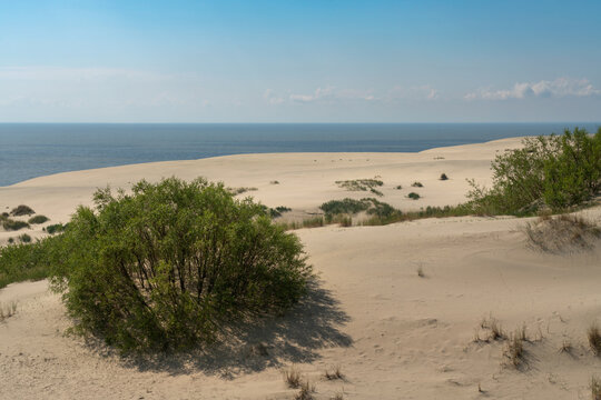 View of Staroderevenskaya dune from the height of Efa (Walnut Dune) and the Baltic Sea in the background on a sunny summer day, Curonian Spit, Kaliningrad region, Russia