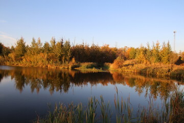 autumn trees reflected in water