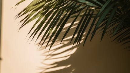 A palm leaf is casting a shadow on a wall. Generative AI
