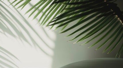 A close up of a palm leaf with the sun shining and the shadow. Generative AI