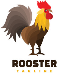 rooster isolated on white background