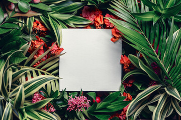 Creative tropical layout of leaves and flowers with a square note. Natural concept.