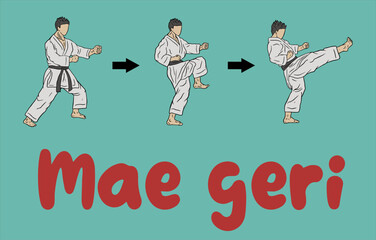 Obraz premium karate logo icon how to kick, perfect for explnation technique in karate theory