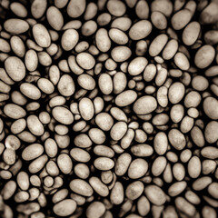 microscope substance texture