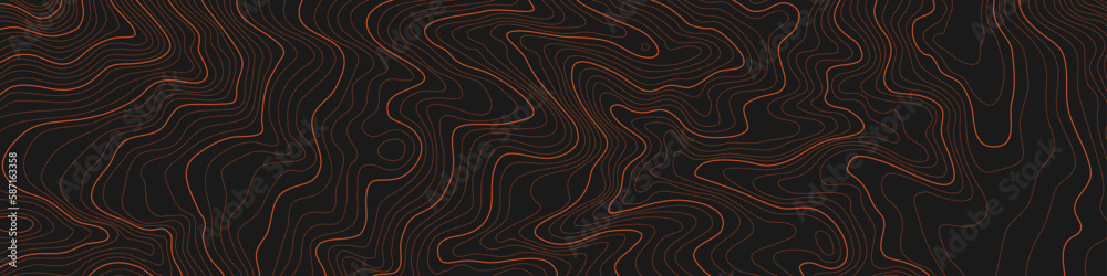 Wall mural the stylized height of the topographic contour in lines. the concept of a conditional geography sche