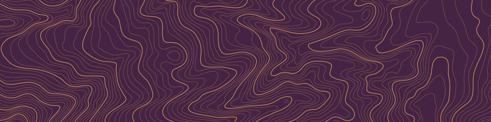 The stylized height of the topographic contour in lines. The concept of a conditional geography scheme and the terrain path. Gold on purple. Ultra Wide size. Vector illustration.