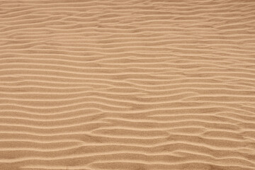 Fototapeta na wymiar Sand wave abstract pattern background. Banner with beach ripple texture. 