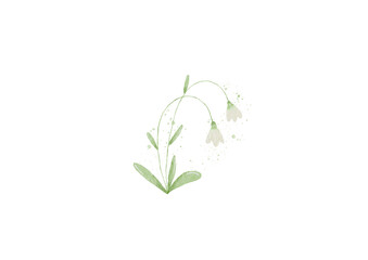 Snow Drop Flower
