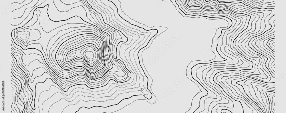 Wall mural the stylized height of the topographic contour in lines and contours. the concept of a conditional g