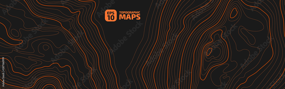 Wall mural the stylized height of the topographic map contour in lines and contours. the concept of a condition
