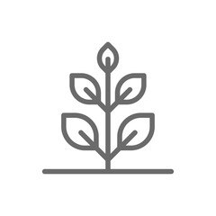 Plant Eco friendly icon with black outline style. leaf, plant, growth, seed, garden, organic, environment. Vector illustration