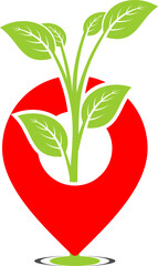 Pin point with plant inside