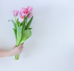 Pink tulips bouquet in woman's hand on white background