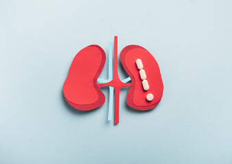 Human kidneys decorative model with pills in shape exclamation mark on light blue background....