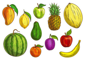 Hand drawn tropical and exotic fruits illustration. Isolated fruit elements. Vector sketches of banana, green and red apple, mango, watermelon, lemon, avocado, apricot, plum, pineapple and melon