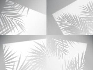 Palm leaves shadow overlay. Vector window frames with plant branches on wall, realistic light blinds. shade effect on white background. Soft sunlight fall on room floor, tropical mockup