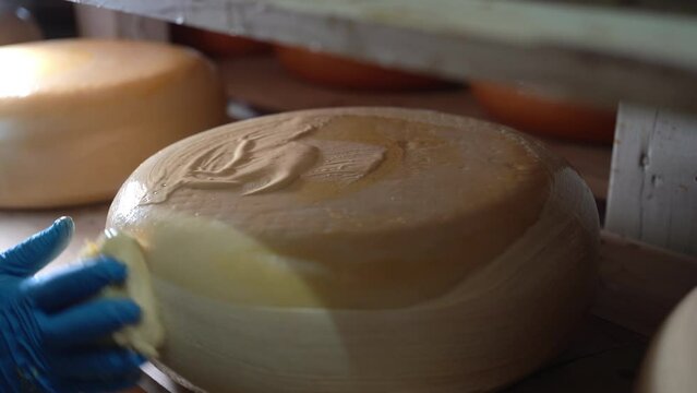 Close-up of male hands rubing cheese wheels with wax at the cheese manufacturing with shelves. Cheese factory in Holland
