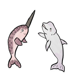 Beluga and narwhal