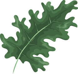 Fototapeta premium Leaf Illustration Element