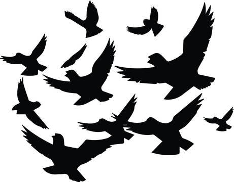Flock Of Birds Logo Monochrome Design Style

