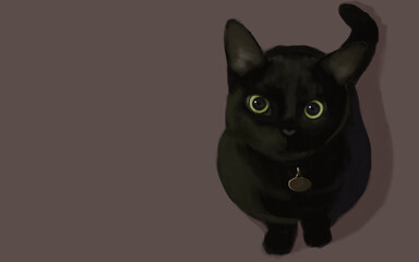 black cat with green eyes right