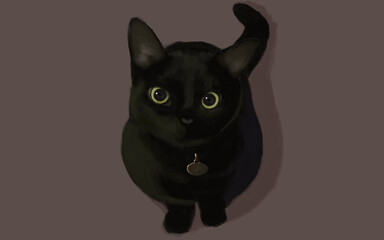 black cat with green eyes center