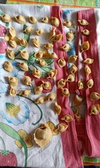 Home hand made Italian tortellini with colourful background