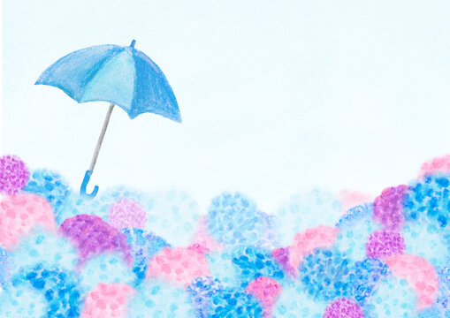紫陽花と雨傘、梅雨をイメージした背景イラスト