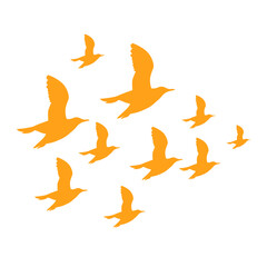 Obraz premium bird fly silhouette