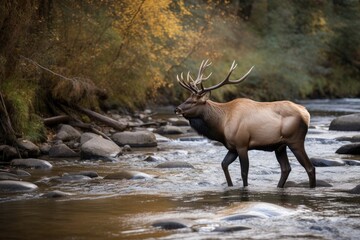 A Bull Elk Bugling Near A Mountain Stream. Generative AI