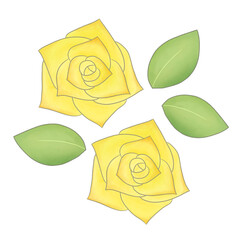 主線ありの黄色いバラのイラスト