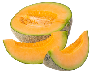 cantaloupe melon isolated on a transparent background
