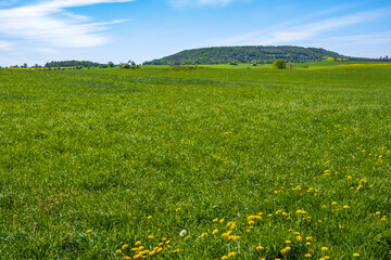 Grass meadow with a hill on the horizon in a beautiful rural landscape