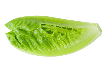 Cos Lettuce Isolated on a transparent Background.